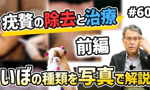 牛尾蕨的功能主治与作用-牛尾蕨的功能主治网- 牛尾蕨植物图片知识,分享牛尾蕨治啥病最好
